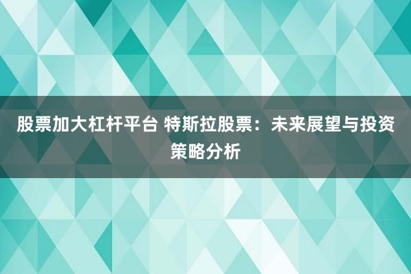 股票加大杠杆平台 特斯拉股票：未来展望与投资策略分析