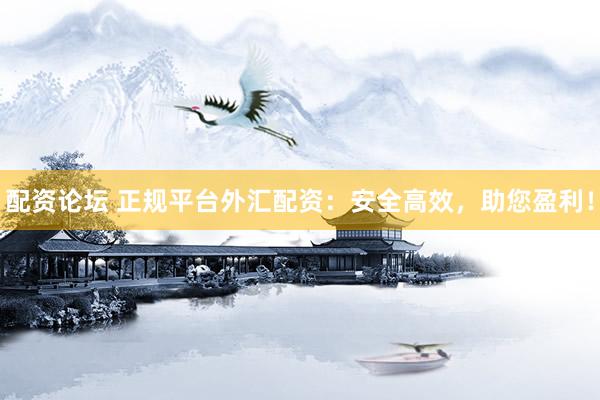 配资论坛 正规平台外汇配资：安全高效，助您盈利！