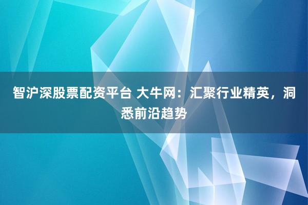 智沪深股票配资平台 大牛网：汇聚行业精英，洞悉前沿趋势