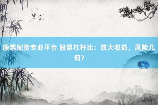 股票配资专业平台 股票杠杆比：放大收益，风险几何？