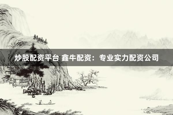 炒股配资平台 鑫牛配资：专业实力配资公司