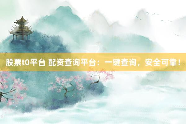 股票t0平台 配资查询平台：一键查询，安全可靠！